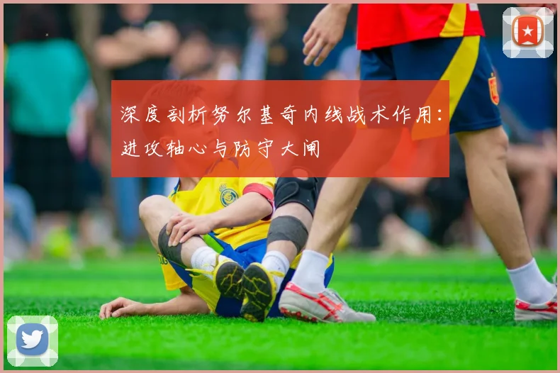 深度剖析努尔基奇内线战术作用：进攻轴心与防守大闸