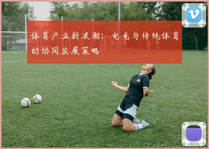 体育产业新浪潮：电竞与传统体育的协同发展策略