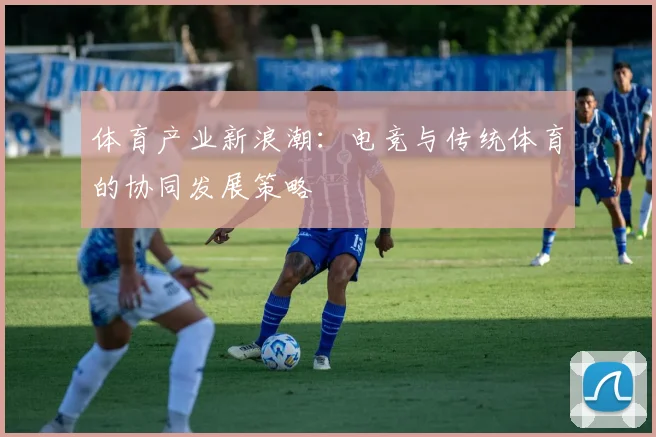 体育产业新浪潮：电竞与传统体育的协同发展策略