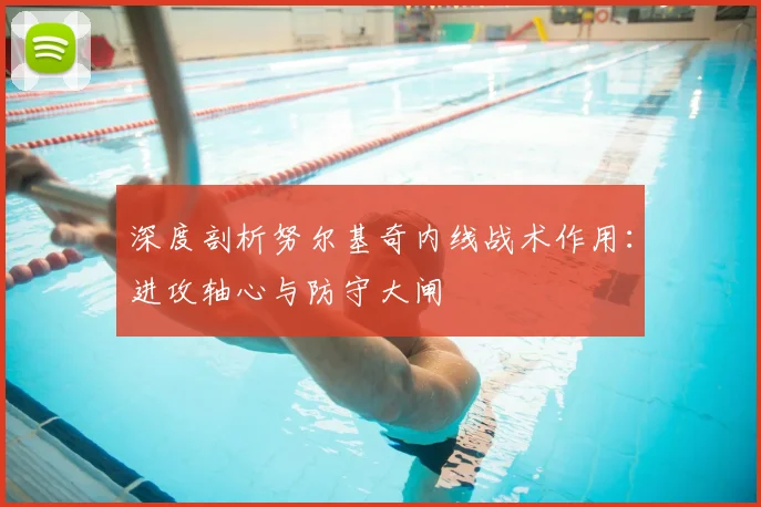 深度剖析努尔基奇内线战术作用：进攻轴心与防守大闸